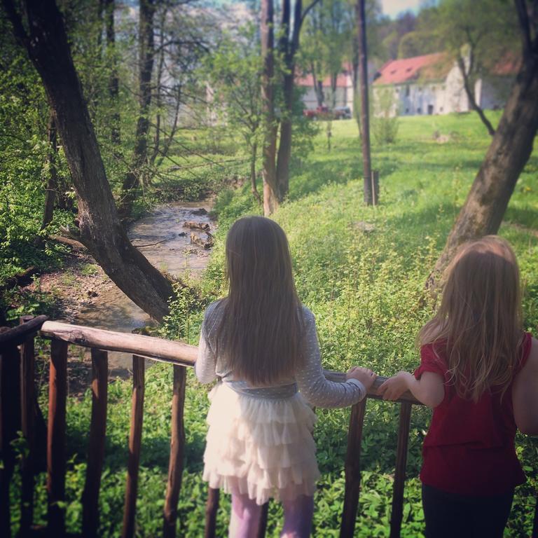 Zamek W Dziegielowie Esterno foto